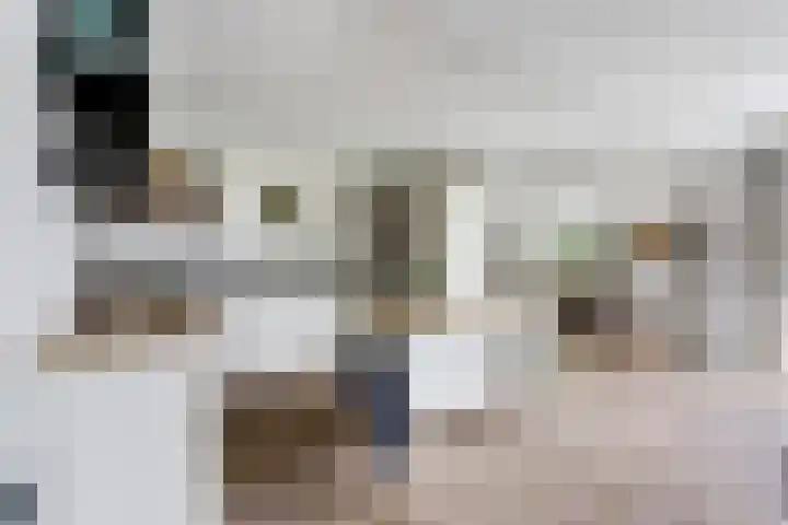 Veenhuisweg 58 Twello thumbnail 12