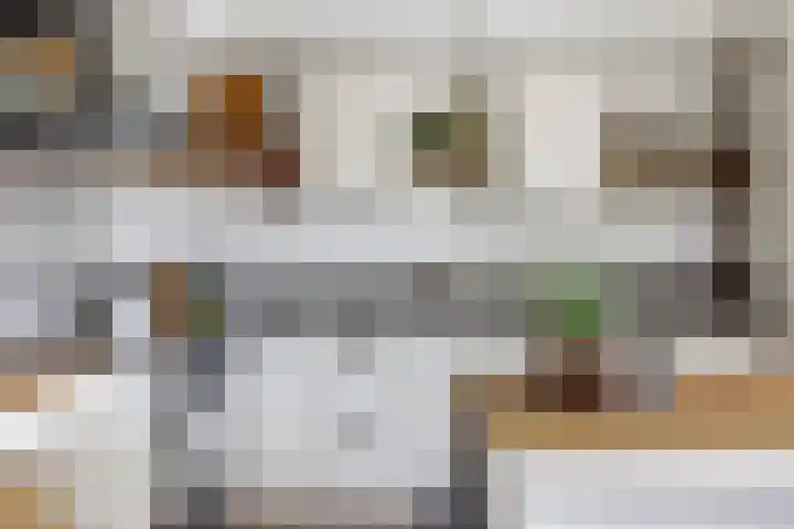 Veenhuisweg 58 Twello thumbnail 13