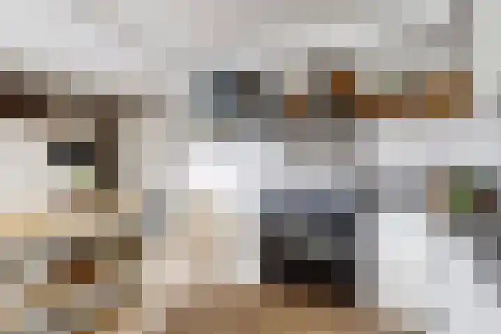 Veenhuisweg 58 Twello thumbnail 14