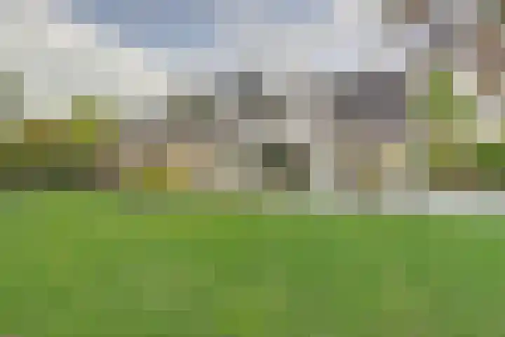 Veenhuisweg 58 Twello thumbnail 15