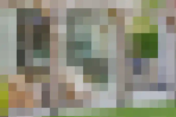 Veenhuisweg 58 Twello thumbnail 16