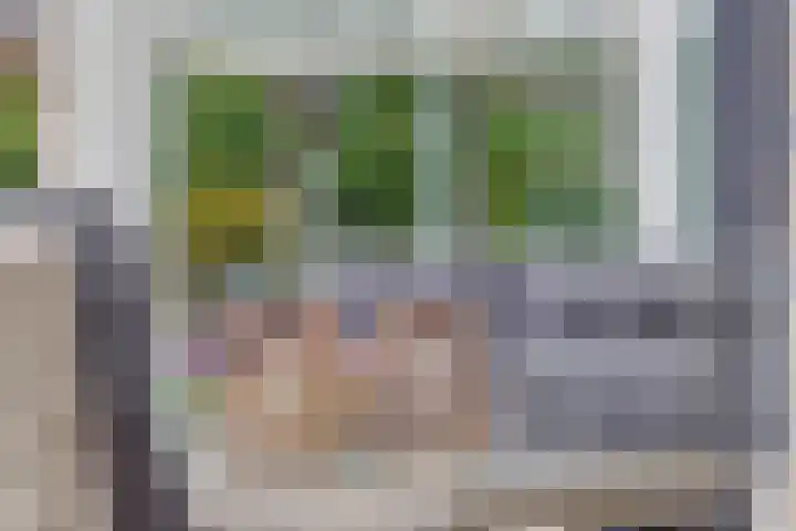 Veenhuisweg 58 Twello thumbnail 17
