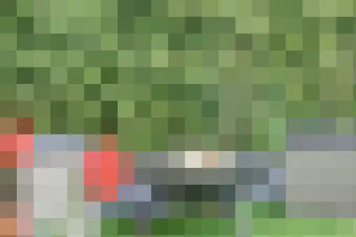 Veenhuisweg 58 Twello thumbnail 19