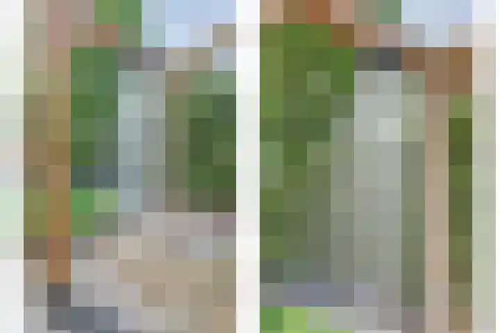 Veenhuisweg 58 Twello thumbnail 21