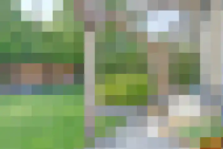 Veenhuisweg 58 Twello thumbnail 22