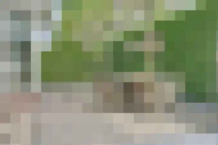 Veenhuisweg 58 Twello thumbnail 23