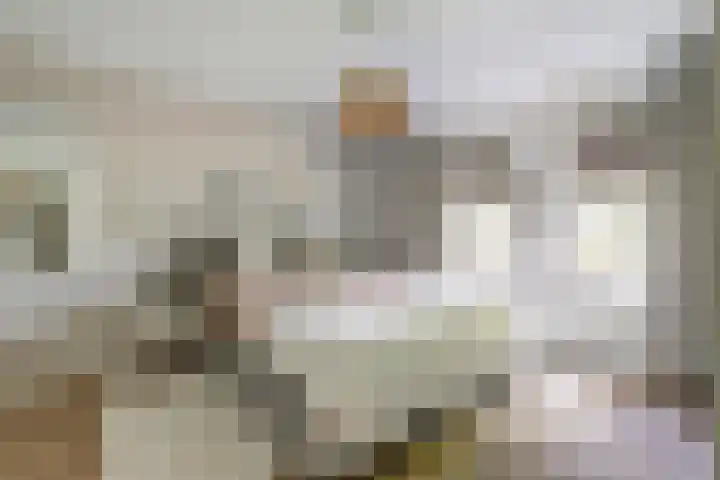 Veenhuisweg 58 Twello thumbnail 24