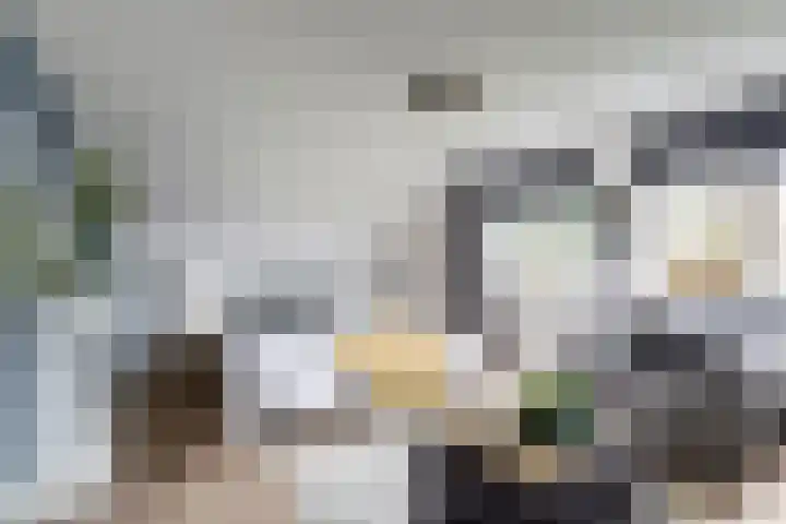 Veenhuisweg 58 Twello thumbnail 32
