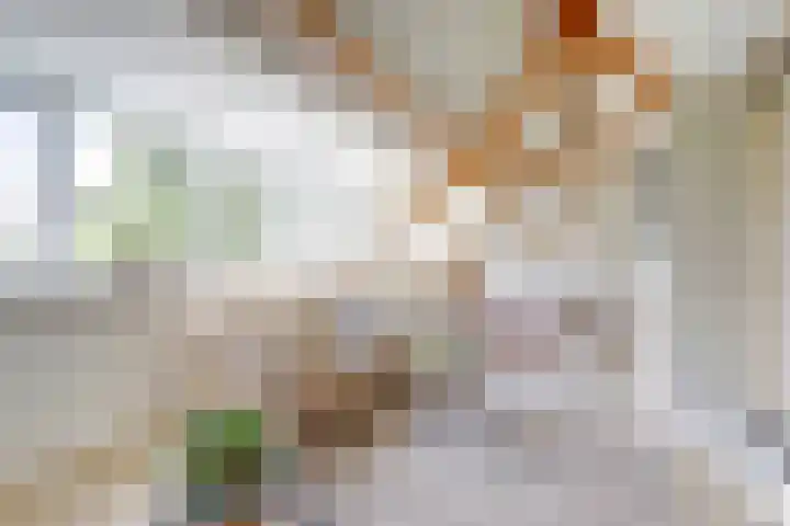 Veenhuisweg 58 Twello thumbnail 33