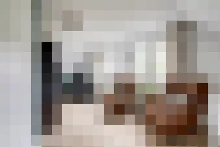 Veenhuisweg 58 Twello thumbnail 36