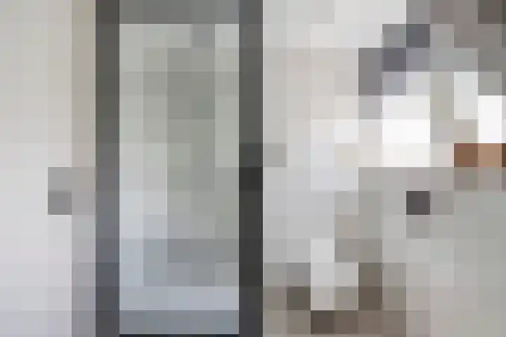 Veenhuisweg 58 Twello thumbnail 37