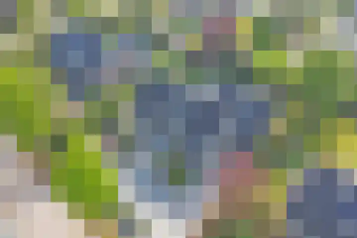 Veenhuisweg 58 Twello thumbnail 4