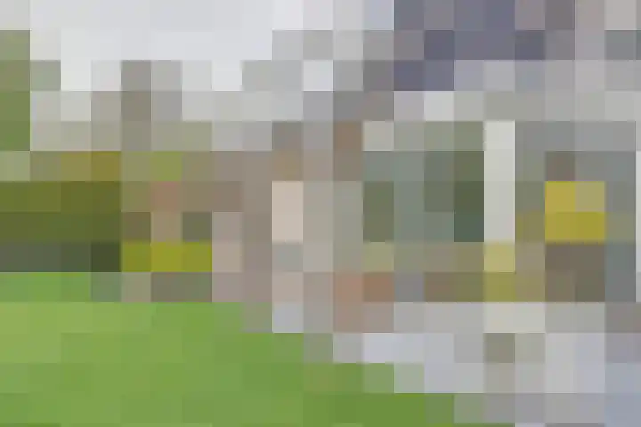 Veenhuisweg 58 Twello thumbnail 41