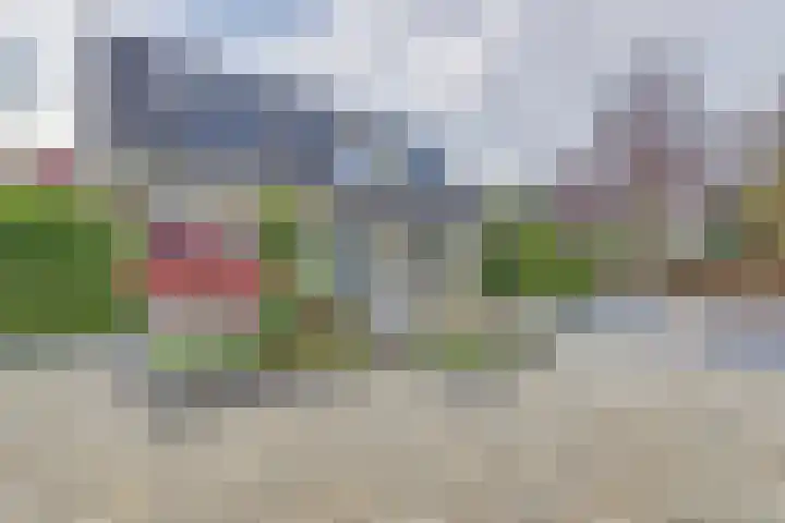 Veenhuisweg 58 Twello thumbnail 44