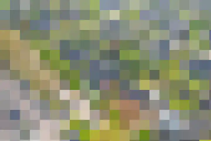 Veenhuisweg 58 Twello thumbnail 47