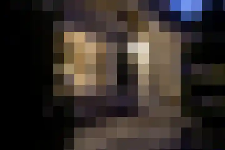Veenhuisweg 58 Twello thumbnail 51