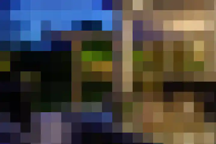 Veenhuisweg 58 Twello thumbnail 53