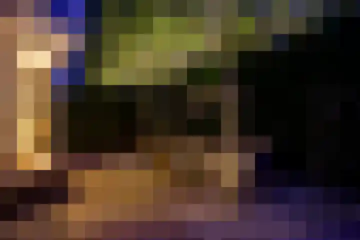 Veenhuisweg 58 Twello thumbnail 54