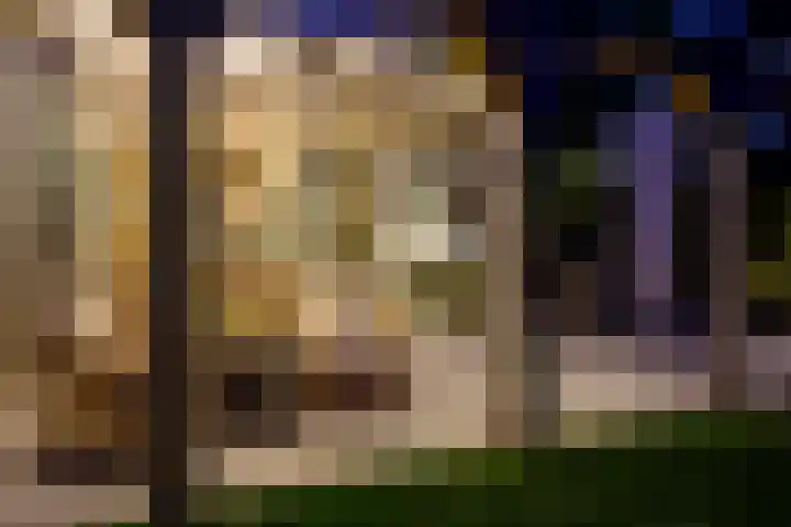 Veenhuisweg 58 Twello thumbnail 55