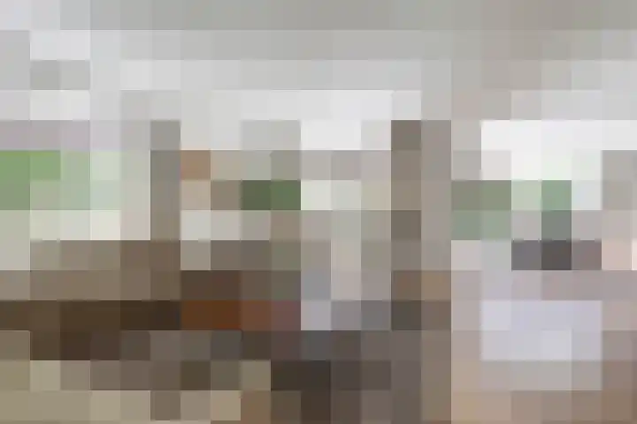 Veenhuisweg 58 Twello thumbnail 7