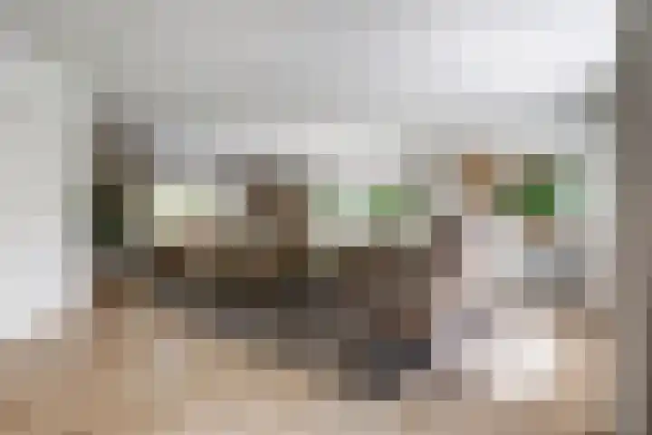 Veenhuisweg 58 Twello thumbnail 8
