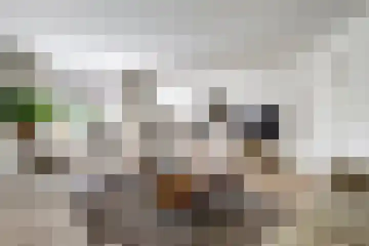 Veenhuisweg 58 Twello thumbnail 9