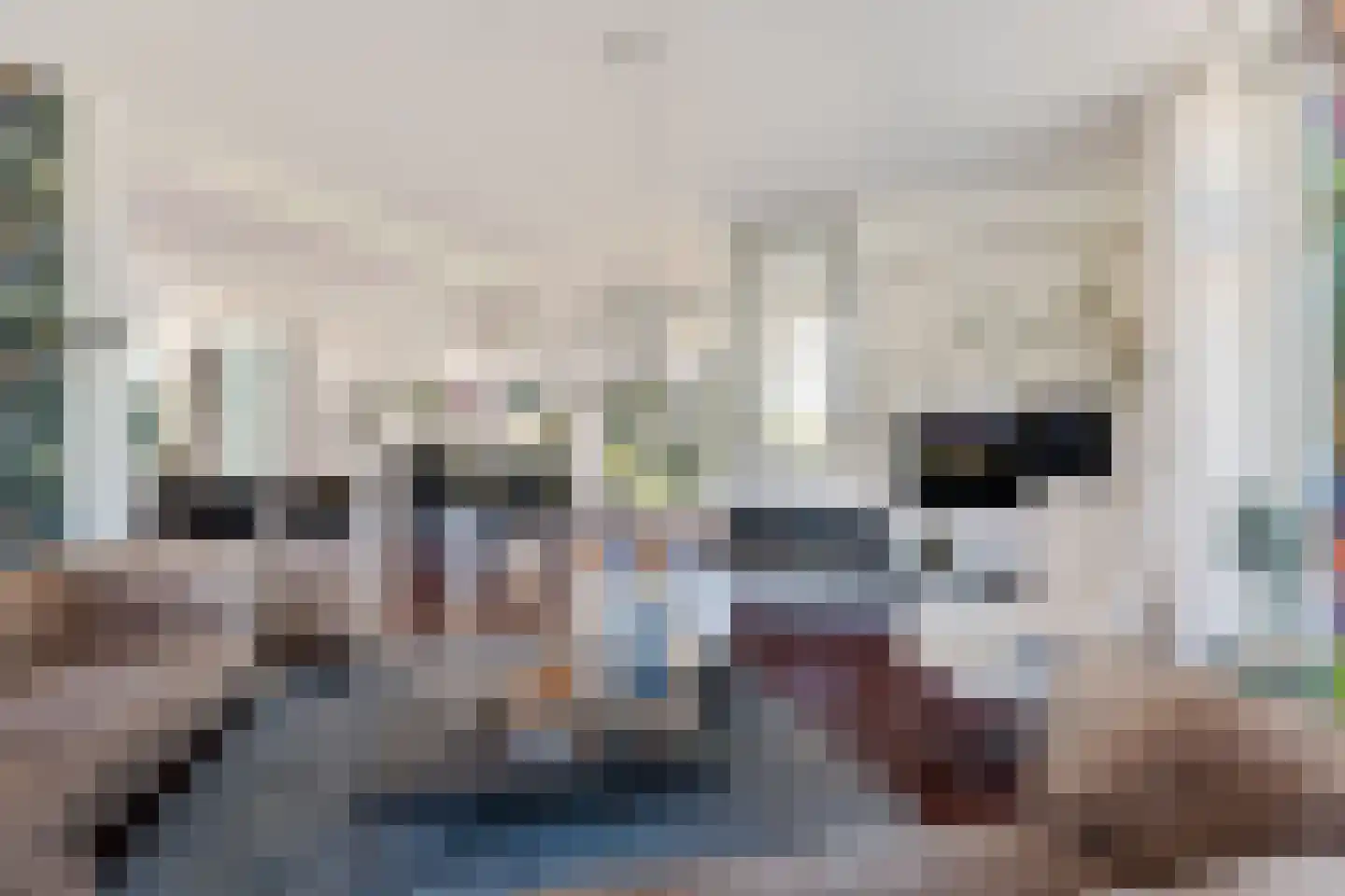 Veenhuizen 9 Onstwedde thumbnail 12