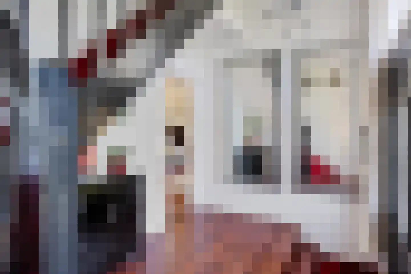 Veenhuizen 9 Onstwedde thumbnail 22