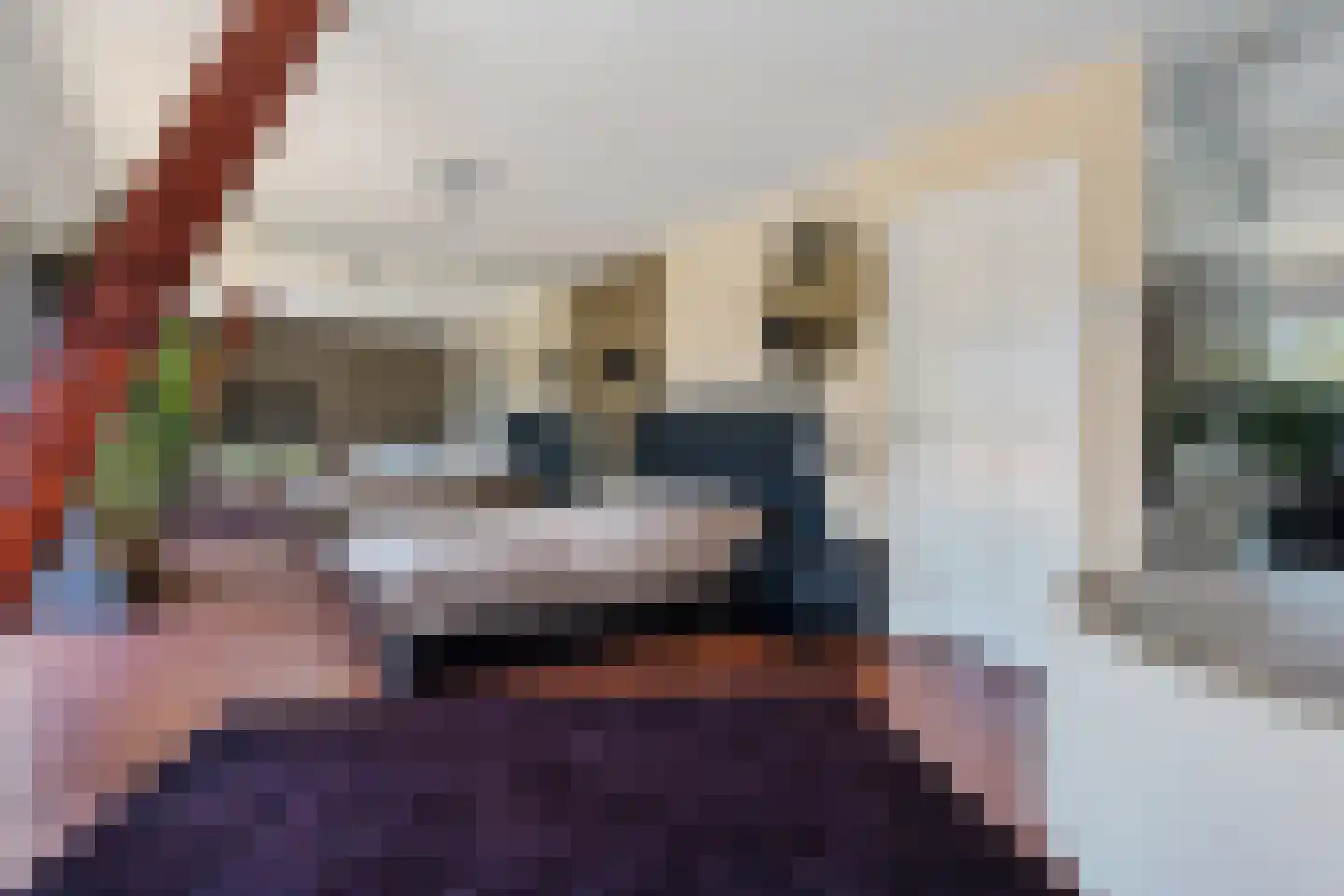 Veenhuizen 9 Onstwedde thumbnail 25