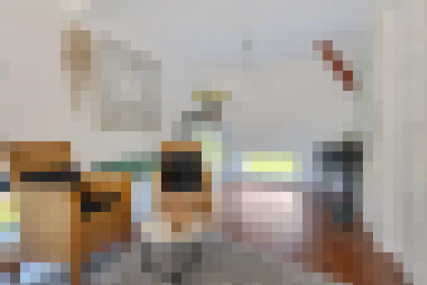 Veenhuizen 9 Onstwedde thumbnail 32