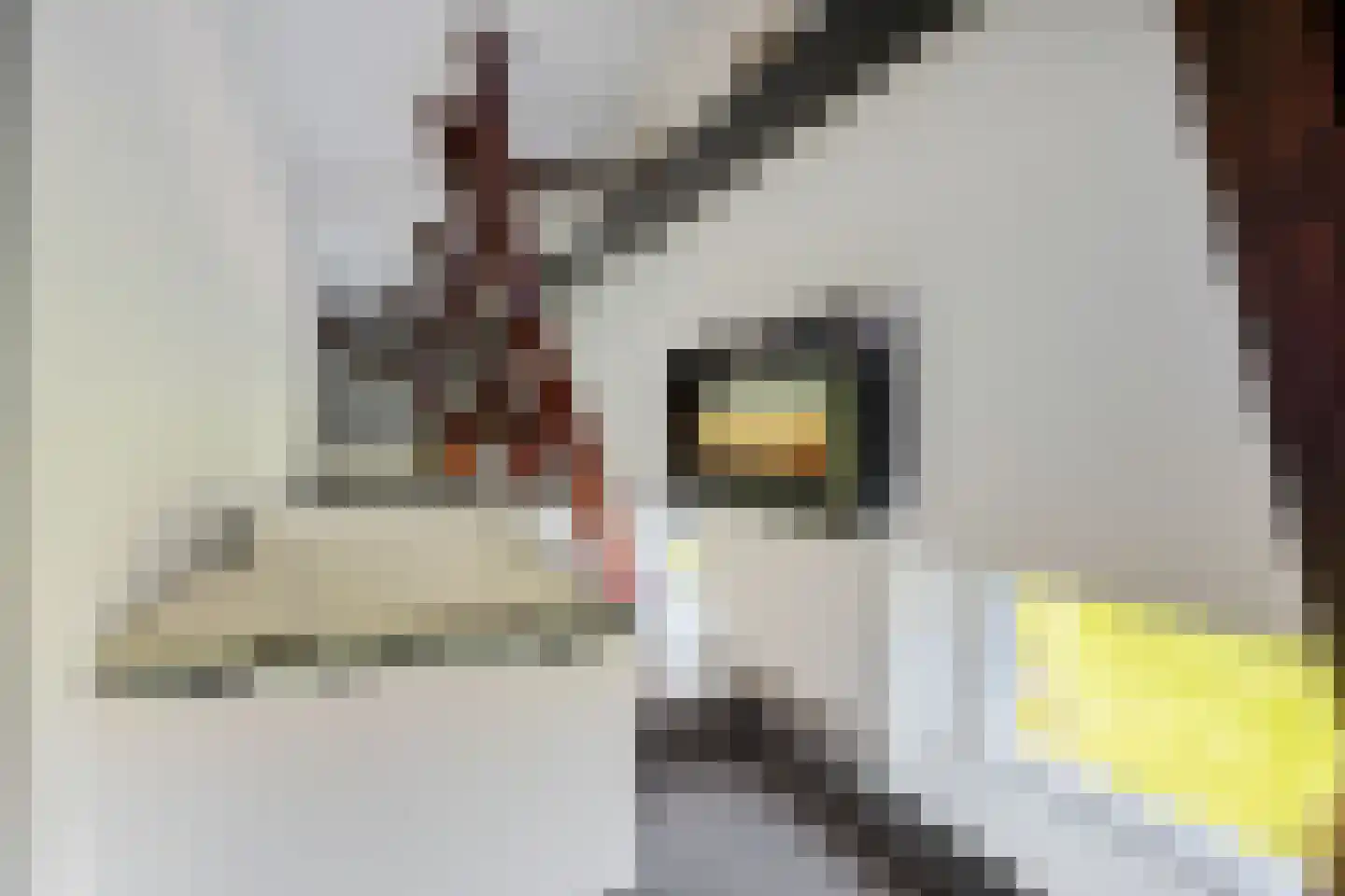 Veenhuizen 9 Onstwedde thumbnail 35