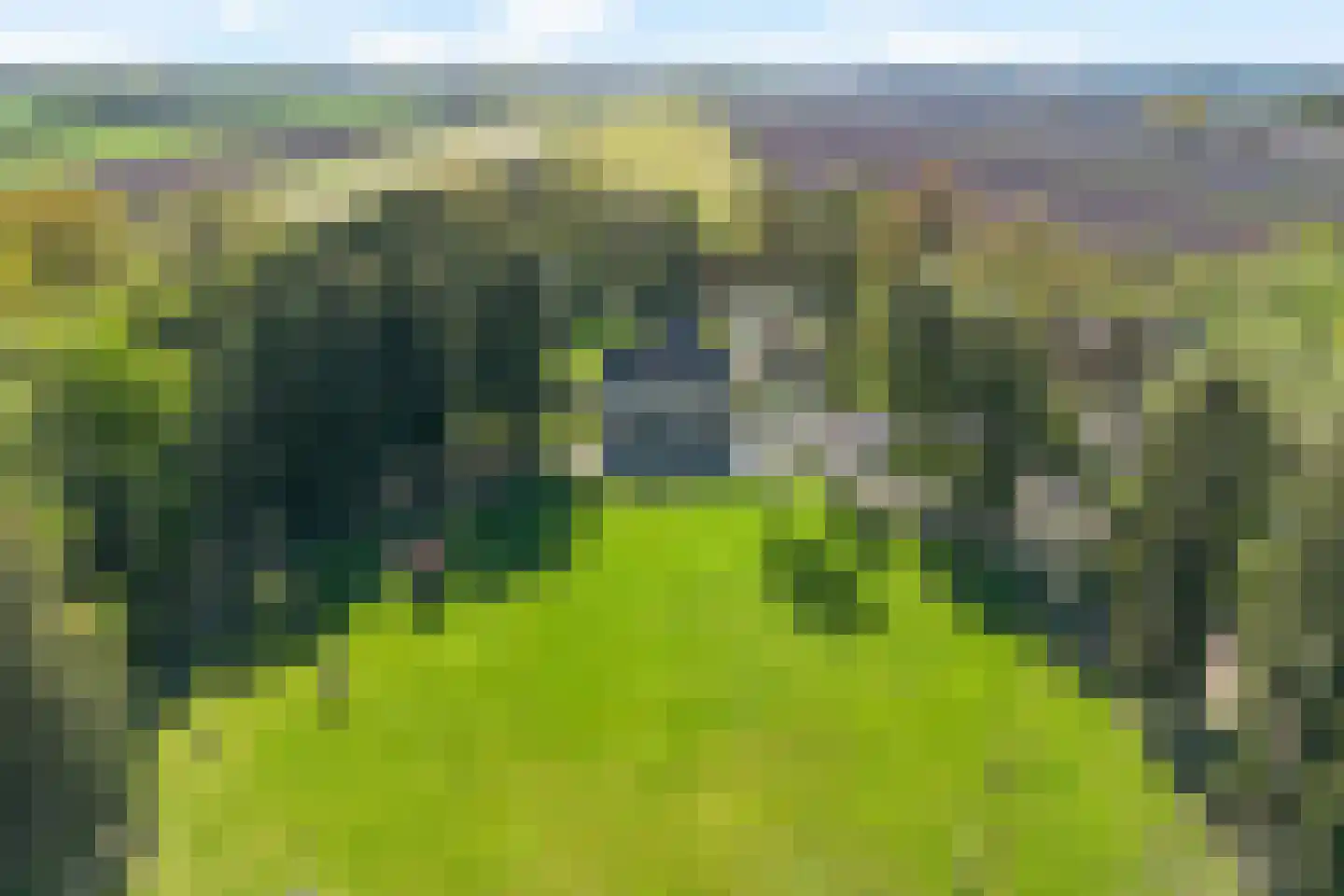 Veenhuizen 9 Onstwedde thumbnail 4
