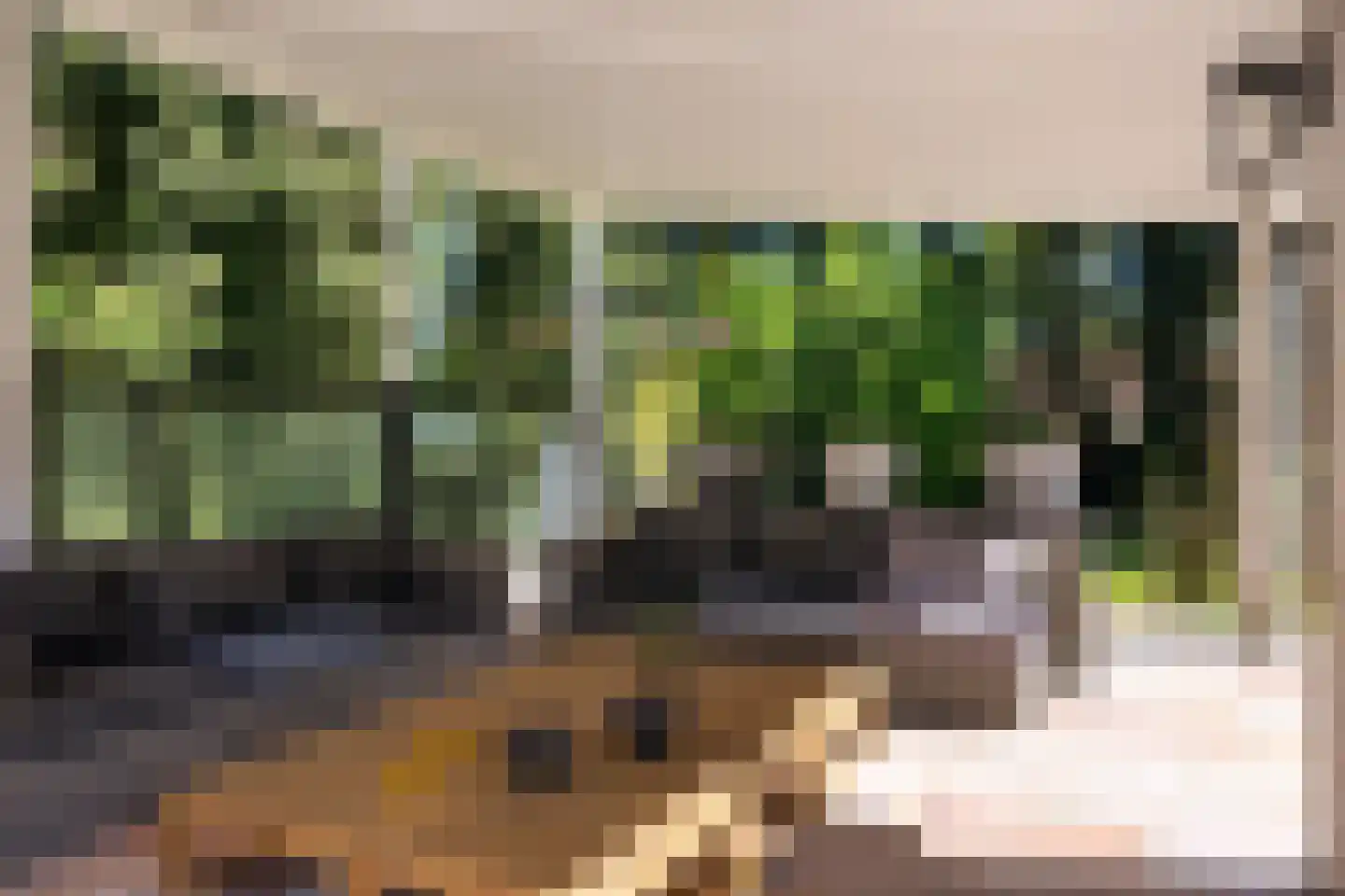 Veenhuizen 9 Onstwedde thumbnail 49