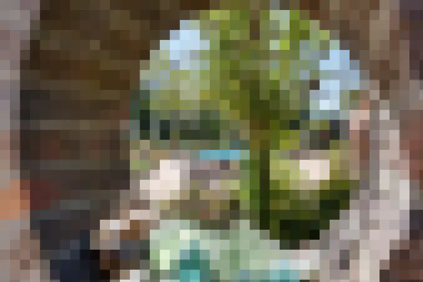 Veenhuizen 9 Onstwedde thumbnail 51