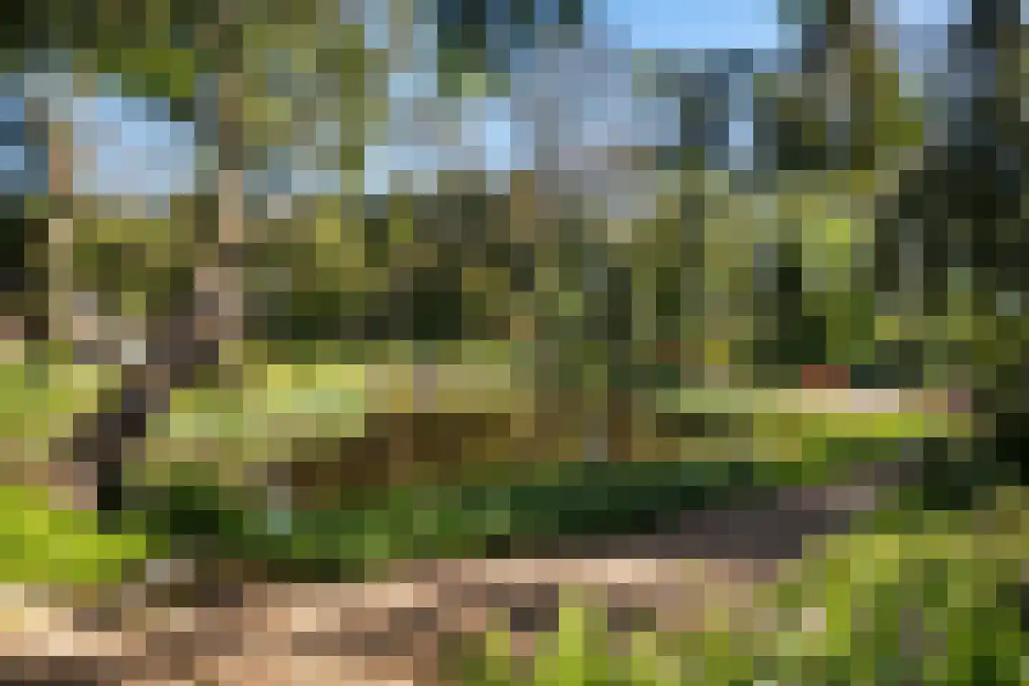 Veenhuizen 9 Onstwedde thumbnail 57