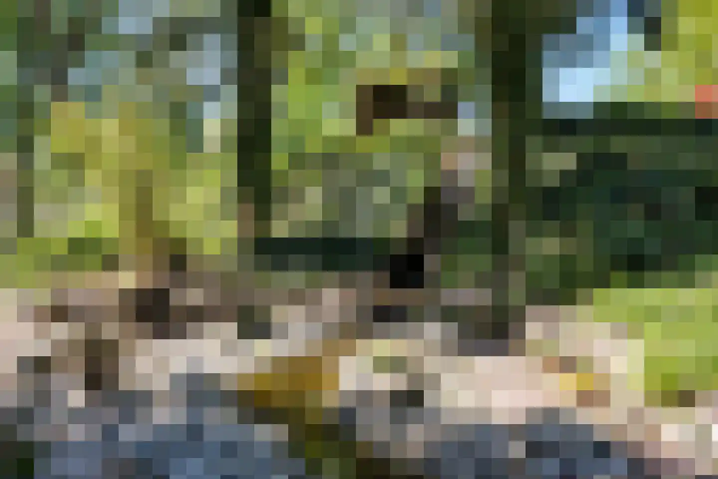 Veenhuizen 9 Onstwedde thumbnail 58