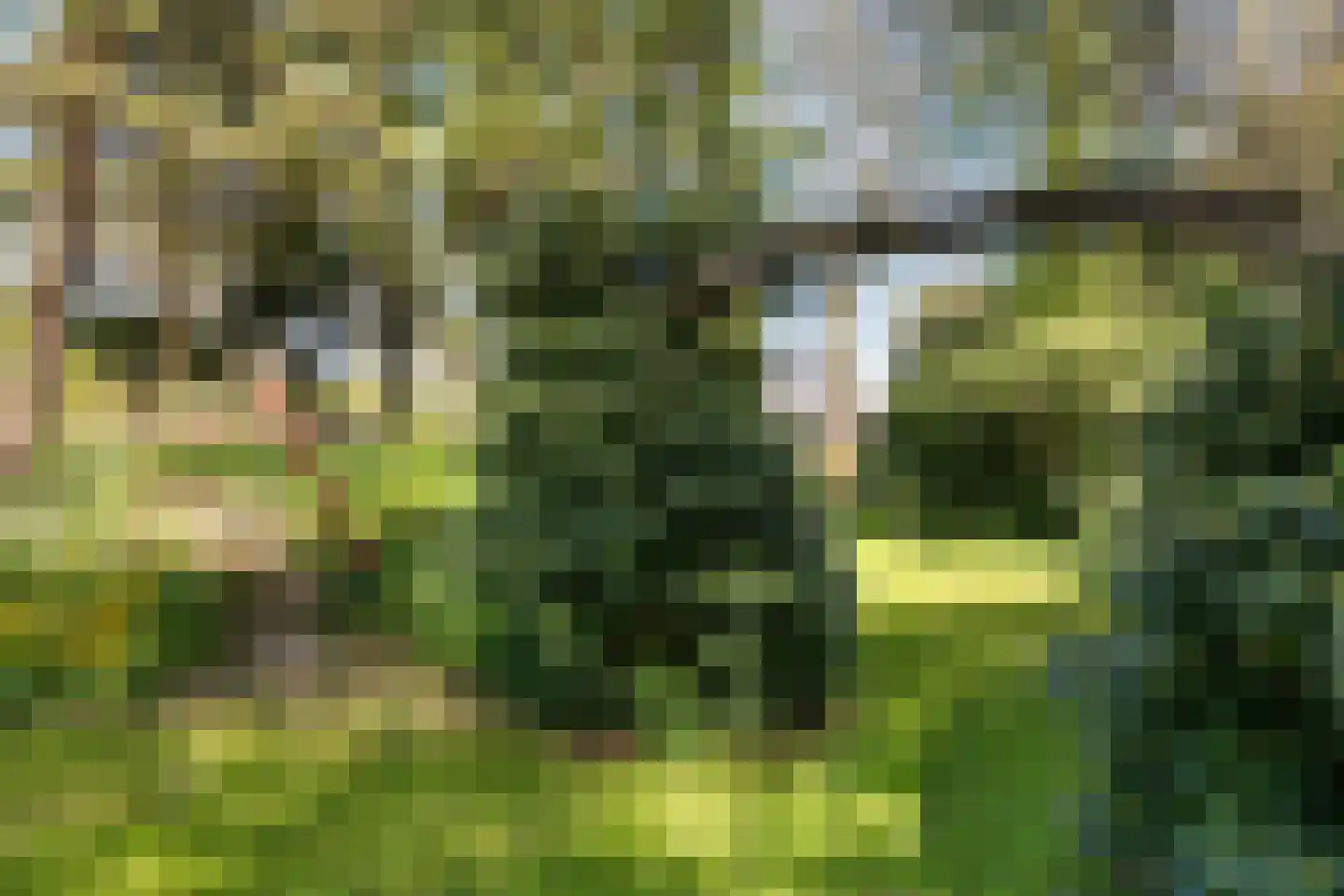 Veenhuizen 9 Onstwedde thumbnail 59