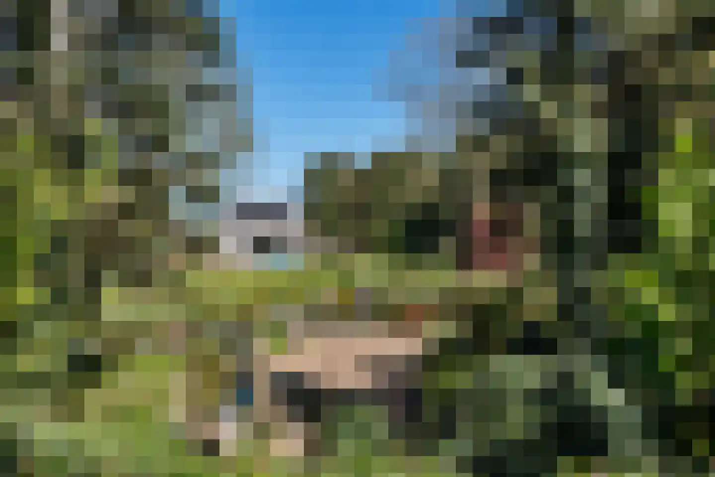 Veenhuizen 9 Onstwedde thumbnail 62