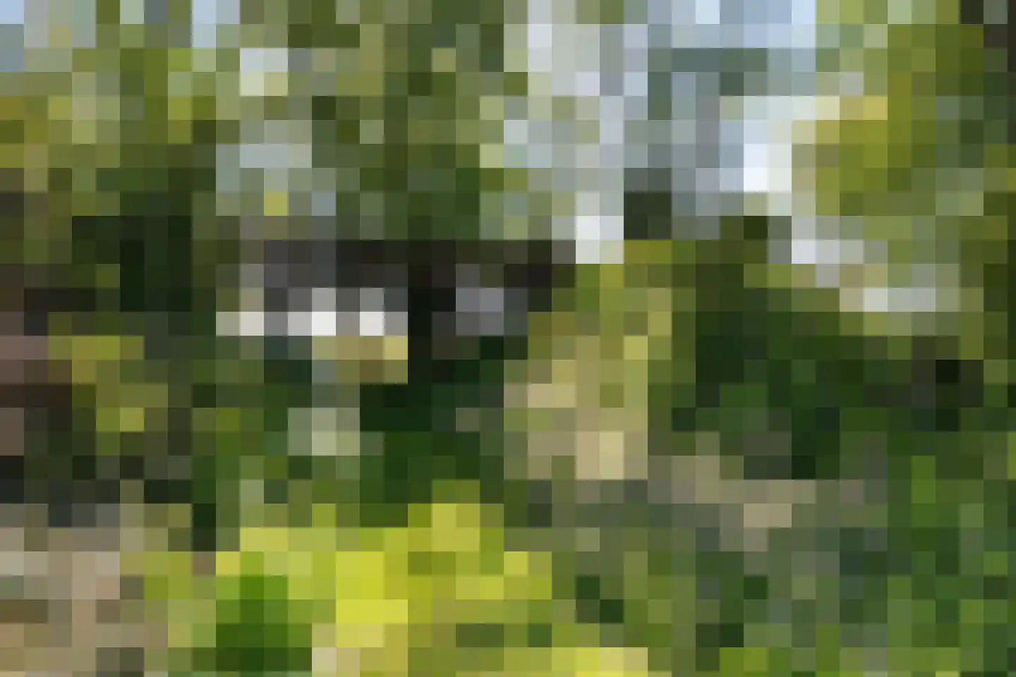 Veenhuizen 9 Onstwedde thumbnail 65