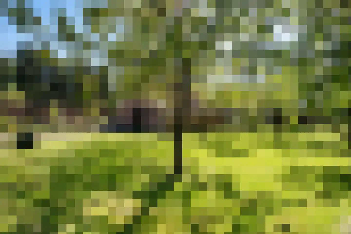 Veenhuizen 9 Onstwedde thumbnail 67