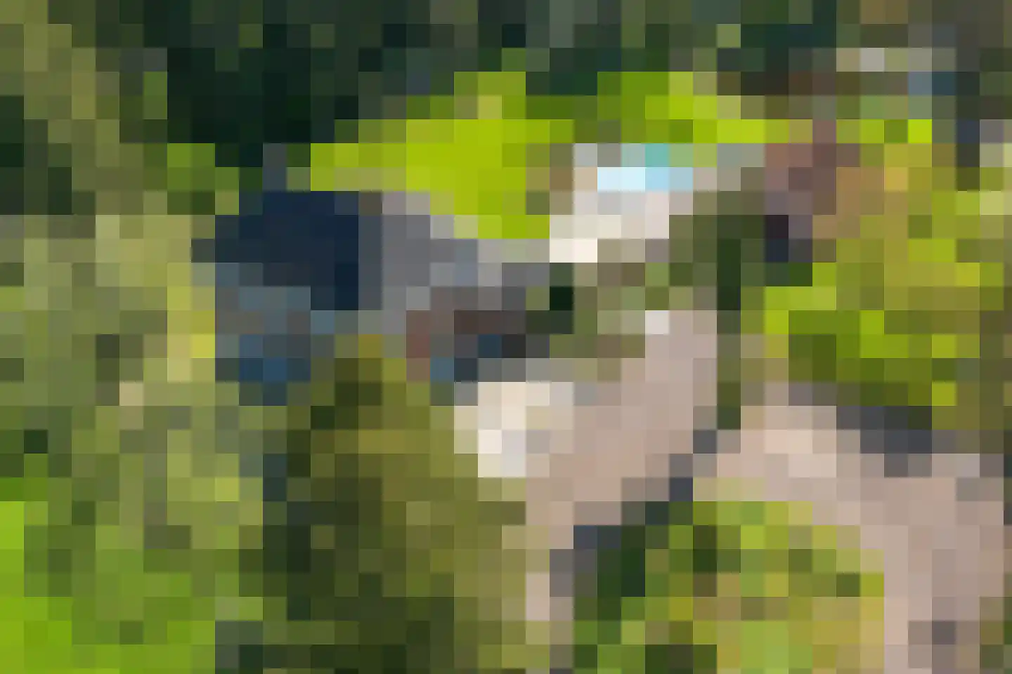 Veenhuizen 9 Onstwedde thumbnail 68