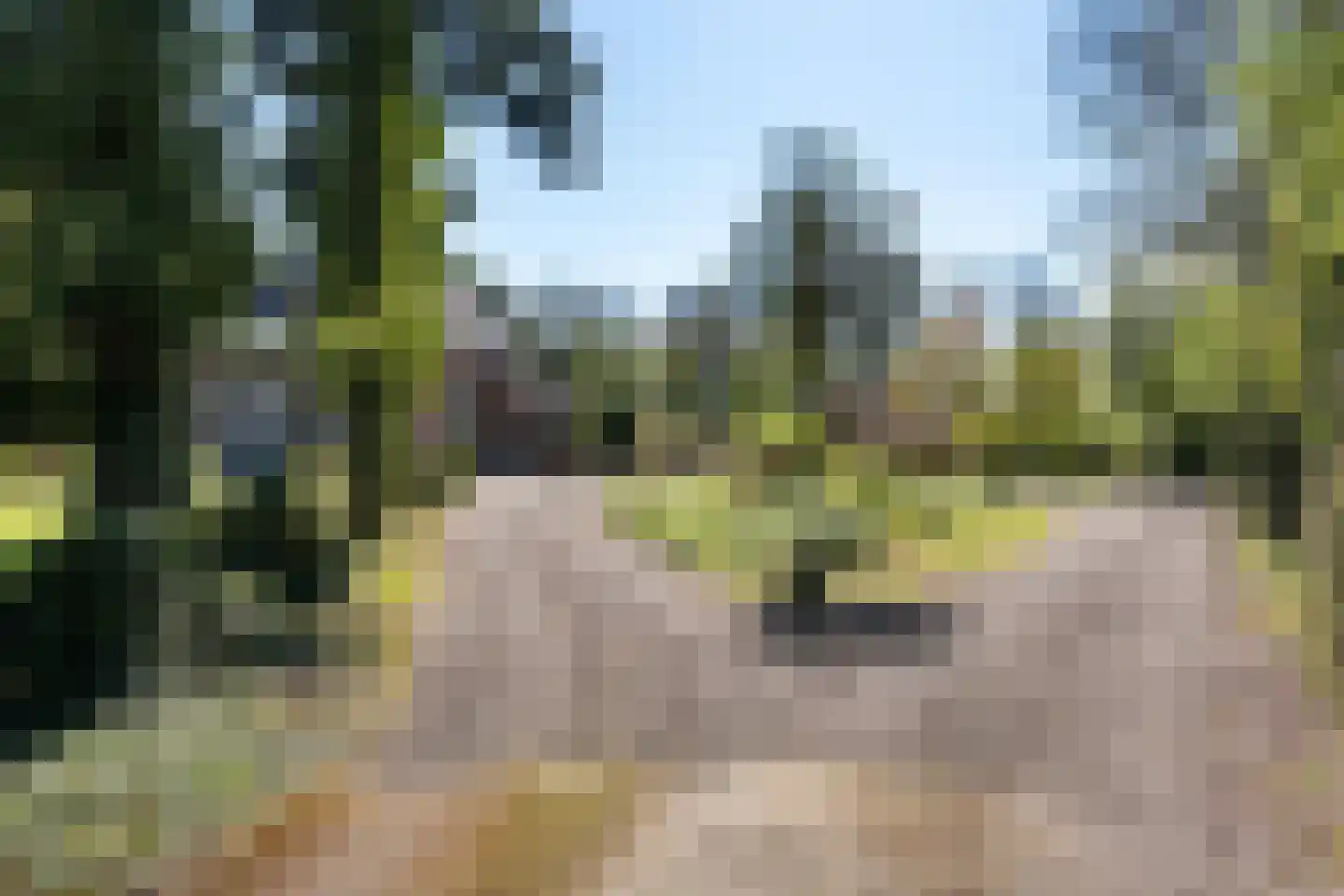 Veenhuizen 9 Onstwedde thumbnail 75