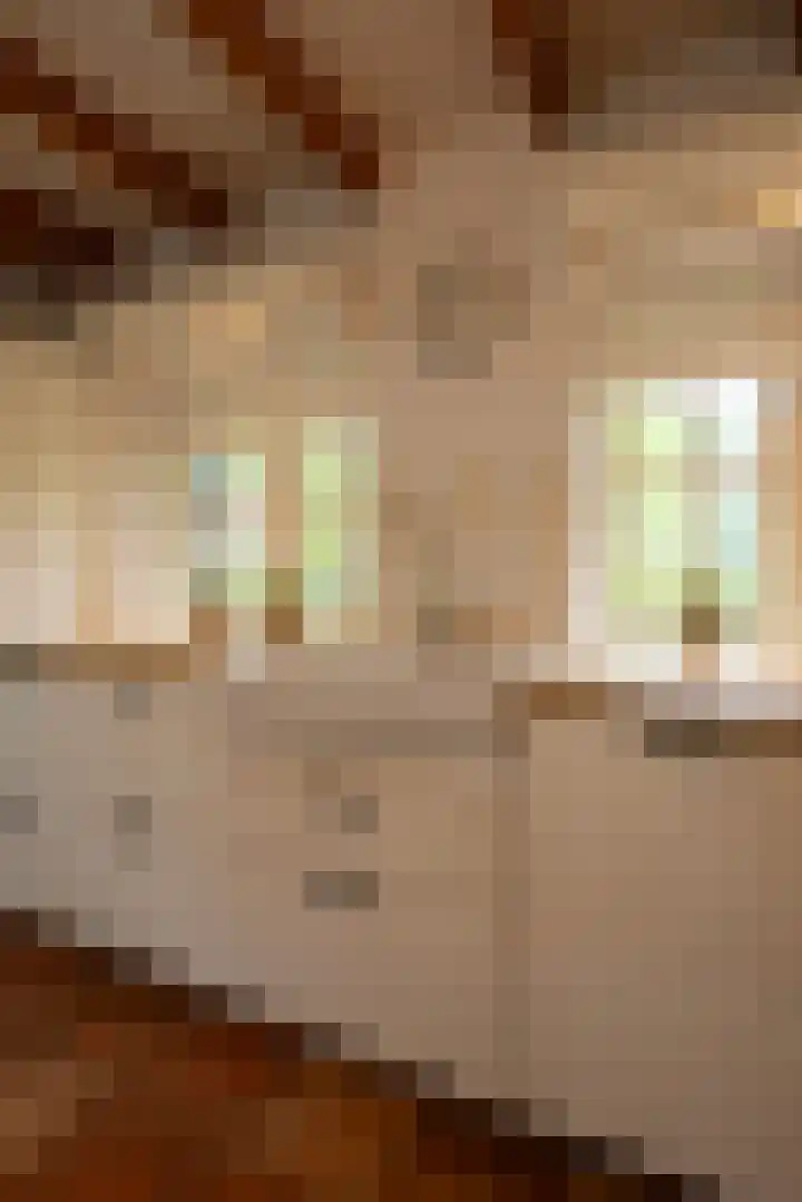 Veenhuizerveldweg 15 Putten thumbnail 13