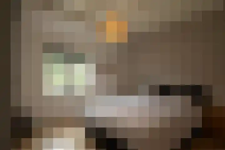 Veenhuizerveldweg 15 Putten thumbnail 19