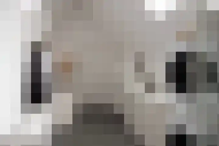 Veenhuizerveldweg 15 Putten thumbnail 22
