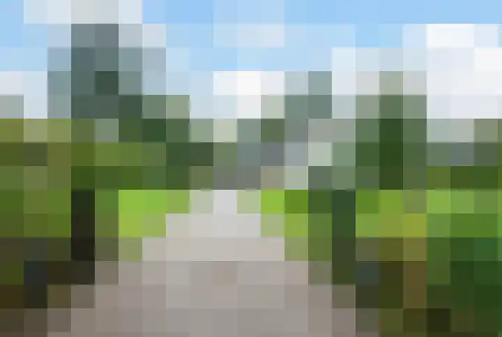 Veenhuizerveldweg 15 Putten thumbnail 34