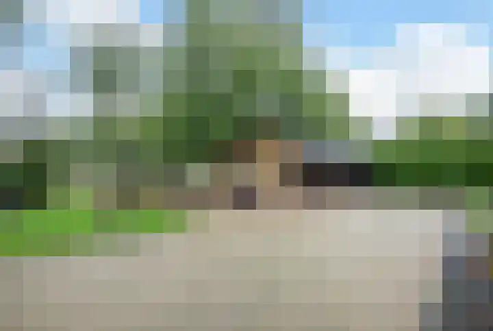 Veenhuizerveldweg 15 Putten thumbnail 38