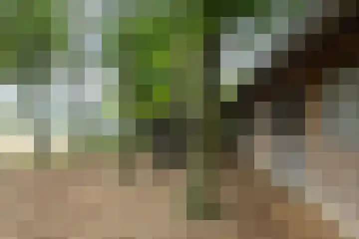 Veenhuizerveldweg 15 Putten thumbnail 39