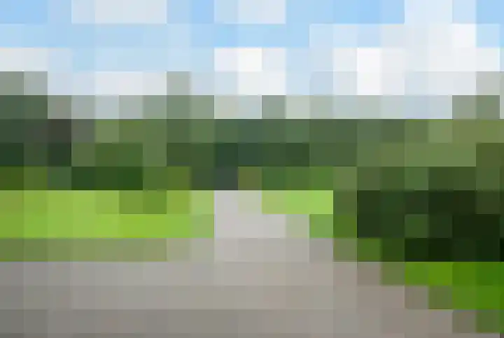 Veenhuizerveldweg 15 Putten thumbnail 44