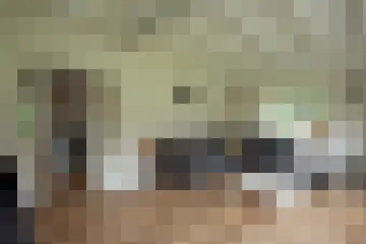 Veenhuizerveldweg 15 Putten thumbnail 6